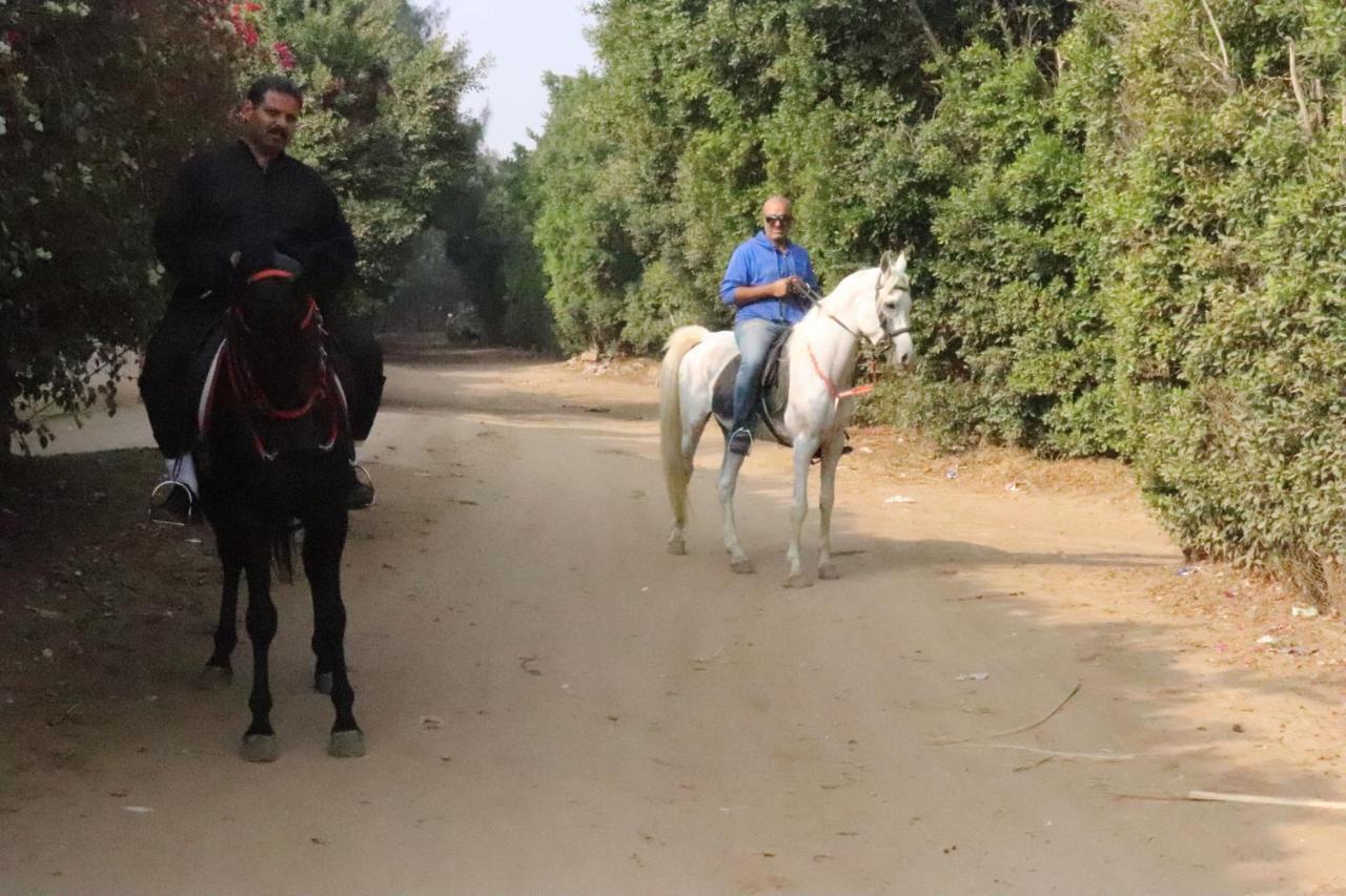 The Farm - Hotel & Horse Riding 开罗 外观 照片