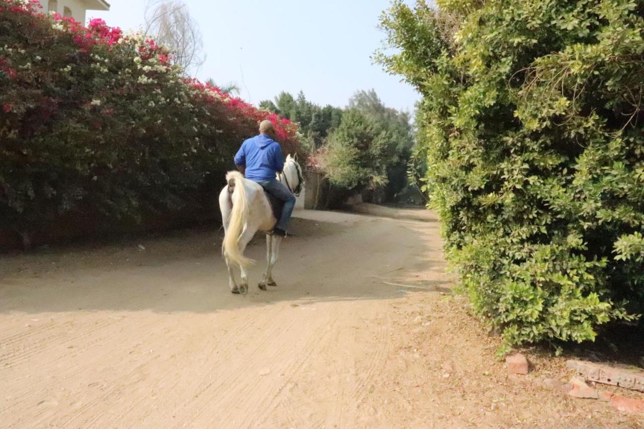 The Farm - Hotel & Horse Riding 开罗 外观 照片